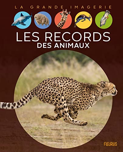 Records des animaux (Les)